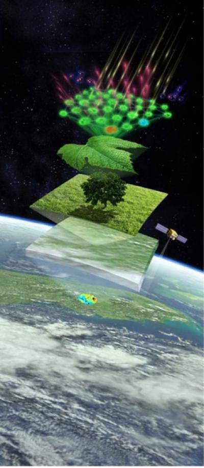 Photosynthesis from Space