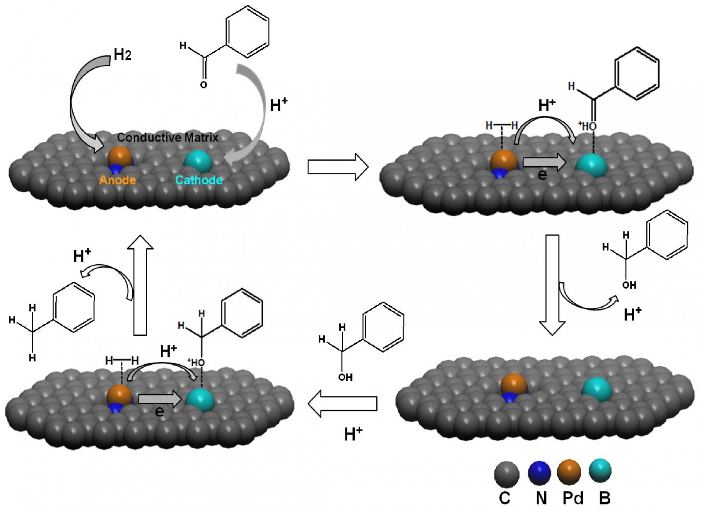 Catalytic Cycles