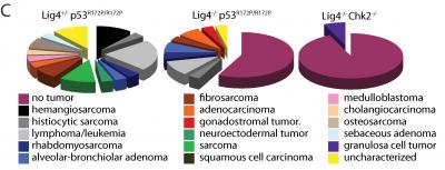 Combinations (2 of 2)