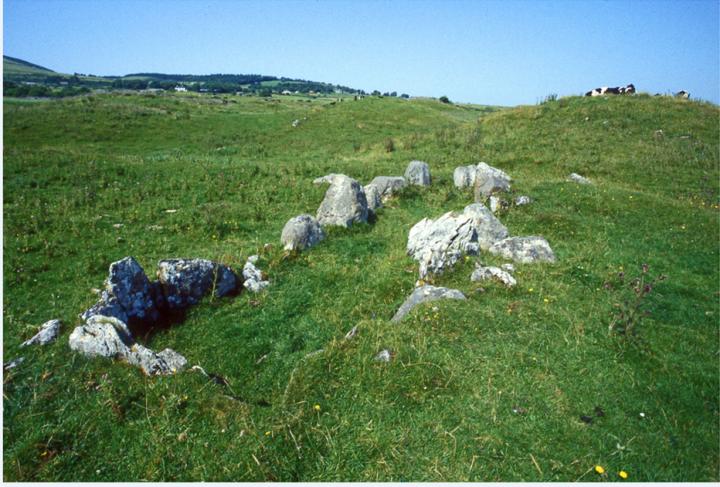 Primrose Grange, Ireland, before Excavation