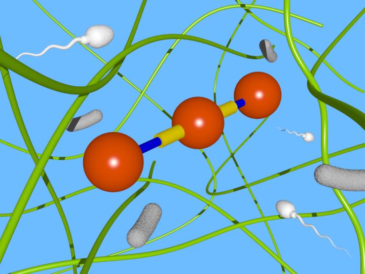 Artist's Illustration of a Three-Sphere Microswimmer in a Polymer Gel Network