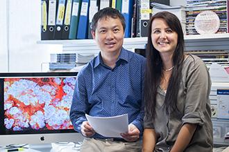 Nai Yang Fu and Anne Rios, Walter and Eliza Hall Institute, Australia