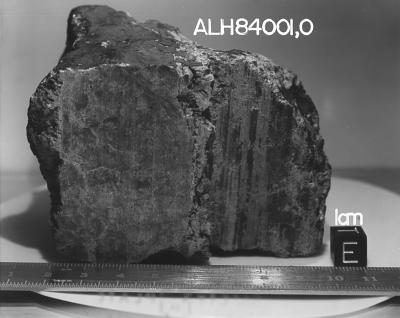 A Martian Meteorite