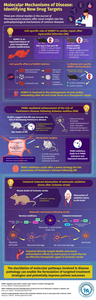 A series of studies reveal the molecular mechanisms of neurological and cardiovascular diseases