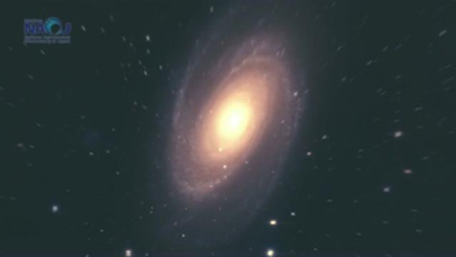 Neighborhood of the Spiral Galaxy M81