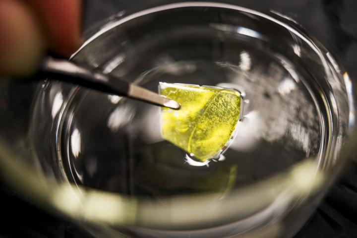 Cubic silicon carbide