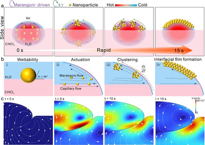 A New Strategy of Three-Phase Catassembling Small Nanoparticles Proposed for SERS Sensing