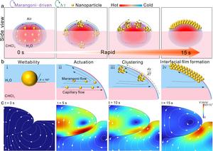 A New Strategy of Three-Phase Catassembling Small Nanoparticles Proposed for SERS Sensing