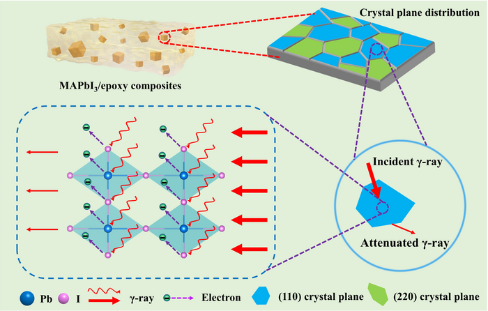 Shielding mechanism of MAPbI3/epoxy composites.