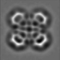 Image acquired by atomic force microscopy