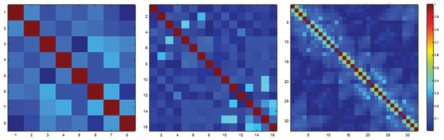 Noise covariance matrices from representative healthy 32-year-old female participant.