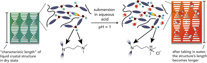 Image 4: Treatment with acid makes the crystals in the ink sensitive to moisture.