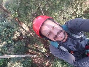 Tree climber