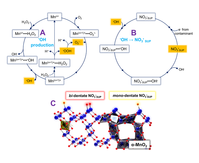 Design, fabrication process, and characterization of LIPS