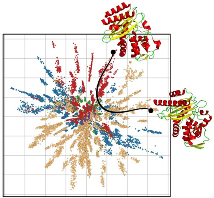 protein_geodesic_map