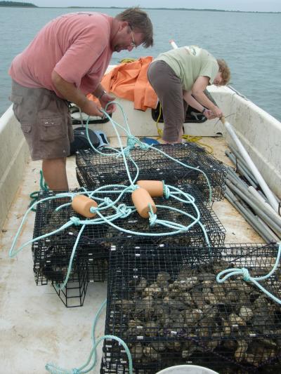 Deploying Oysters