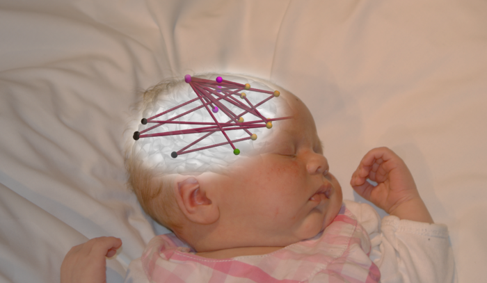 Newborn brain networks