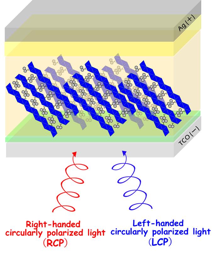 circularly polarized light det [IMAGE] EurekAlert! Science News Releases