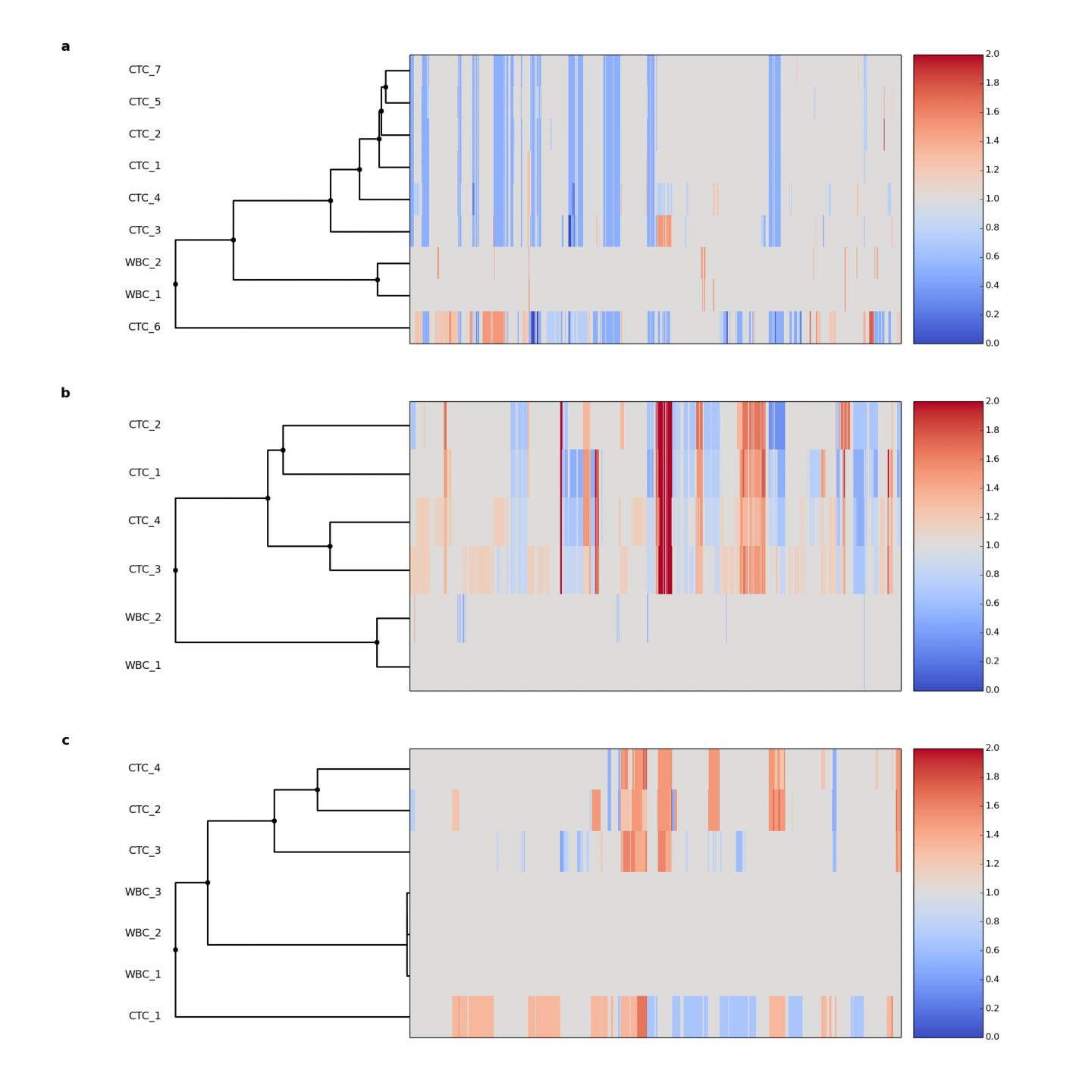 Cluster Analysis of Copy Number Profiles for CTCs and WBCs from 3 Patients