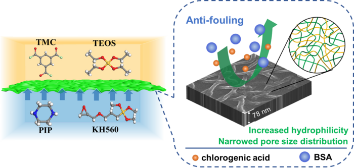 Enhancing the antifouling ability of a polyamide nanofiltration membrane by narrowing pore size distribution via one-step multiple interfacial polymerization
