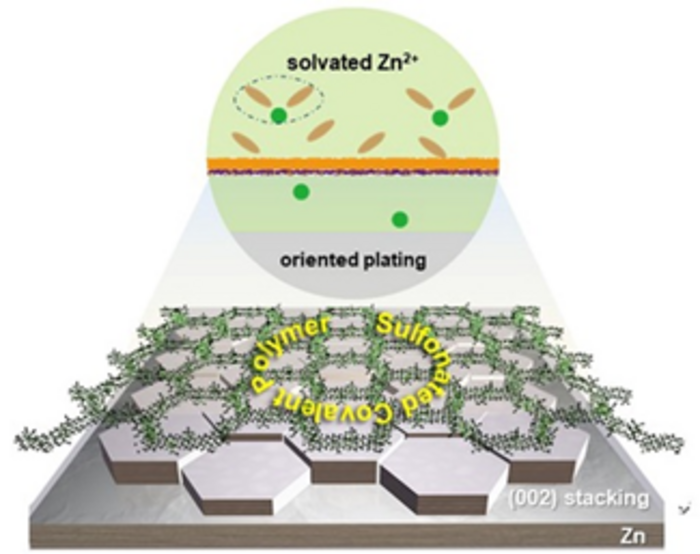 Desolvation and deposition behavior of Zn after the introduction of SCP interlayer