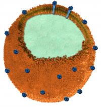 Illustration of 'Nanosponge Vaccine' from UC San Diego
