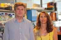 Dr. Miguel Torres and Dr. Cristina Claverias, Centro Nacional de Investigaciones Cardiovasculares