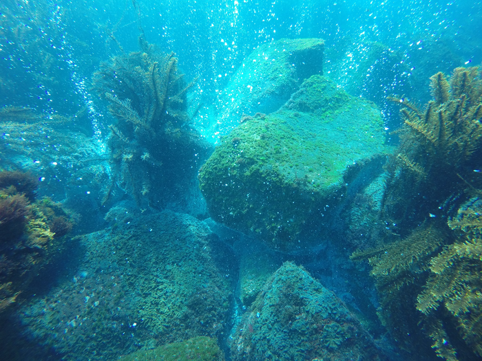 Vents underwater