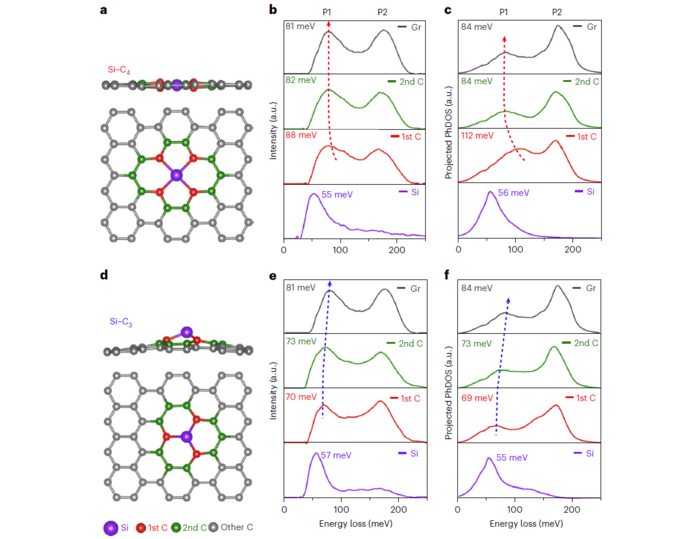 Atom-by-atom analysis of the vibrational EELS spectra in two different types of silicon-point defects in graphene.