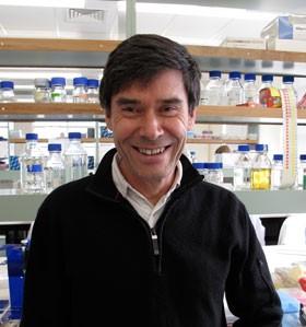 Mike Eccles, University of Otago