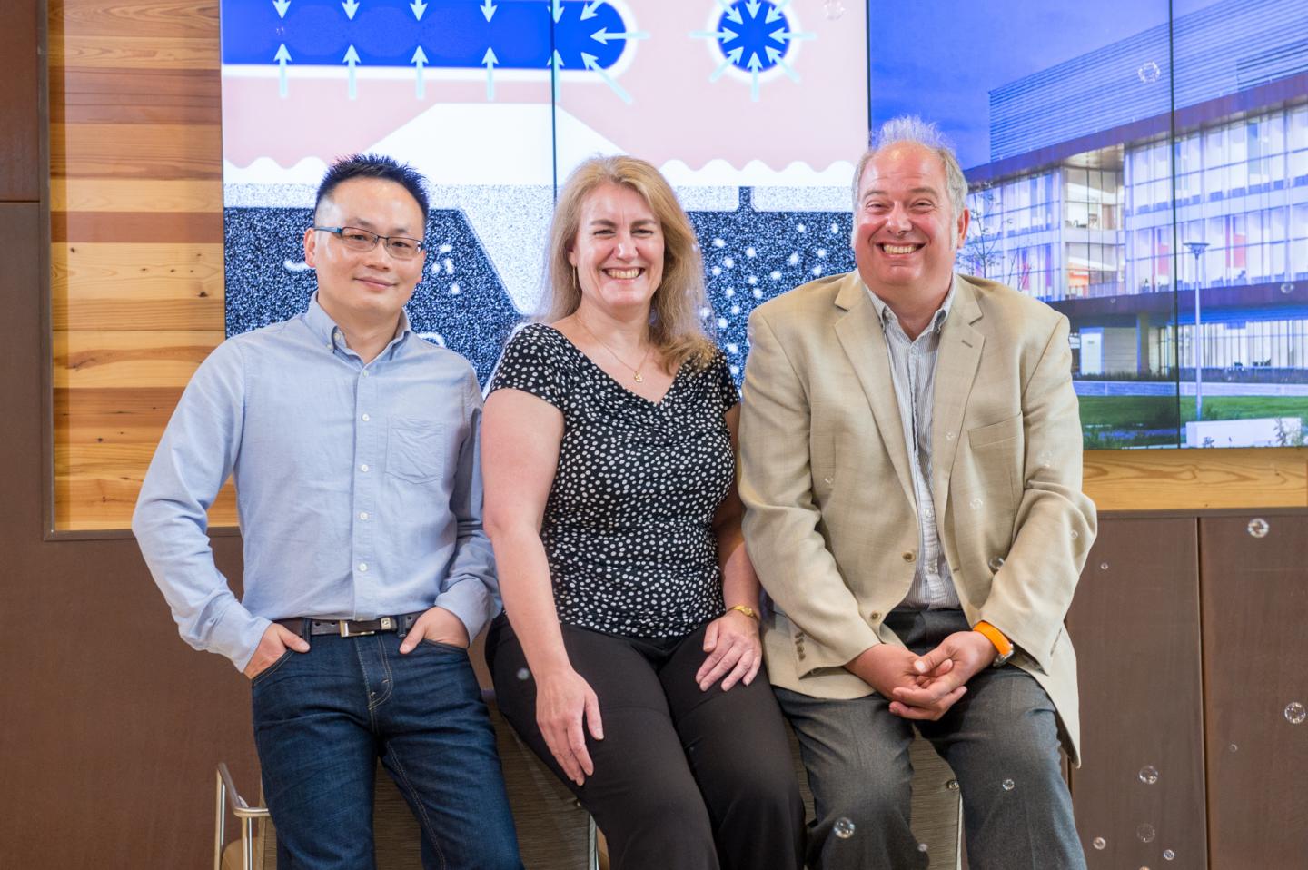 Argonne Scientists Announce First Room-Temperature Magnetic Skyrmion Bubbles