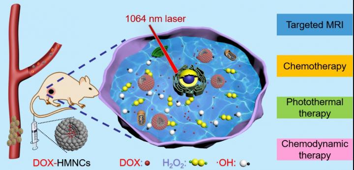 Scientists Discover Nanoclusters Effective for Cancer in the Second Near-infrared Synergy Therapy