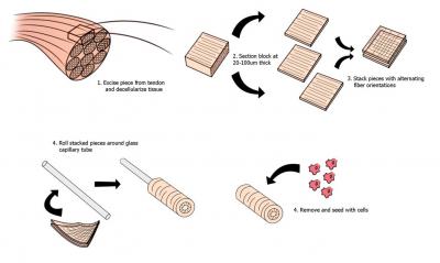 A New Way to Build Collage Scaffolds
