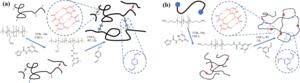 Polymer architectures