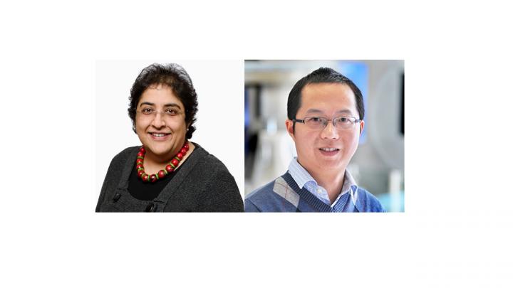 Corresponding Authors