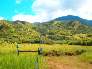 Rain gauge Kaua‘i, Hawai‘i