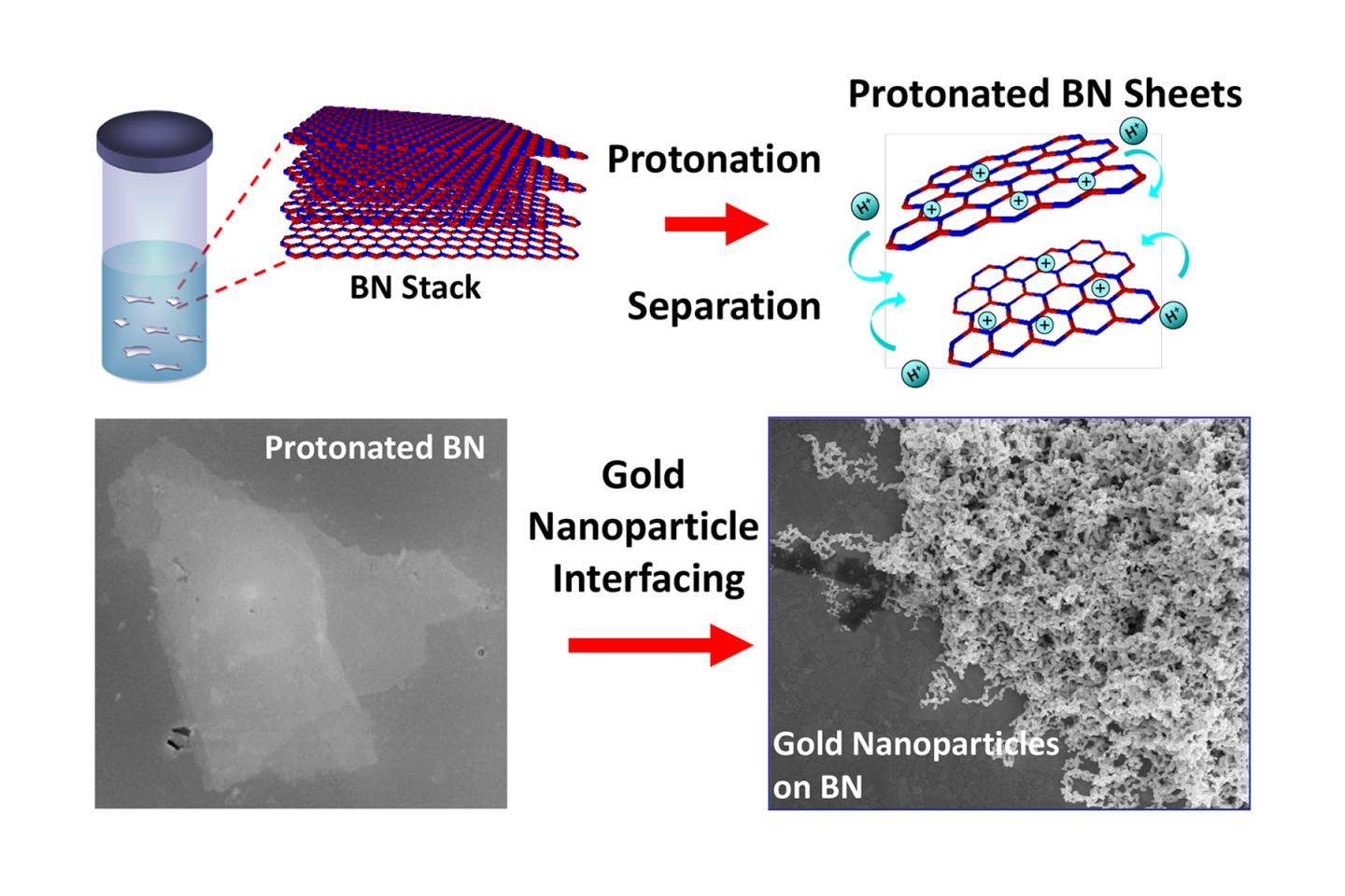 Boron Nitride Exfoliation and Protonation