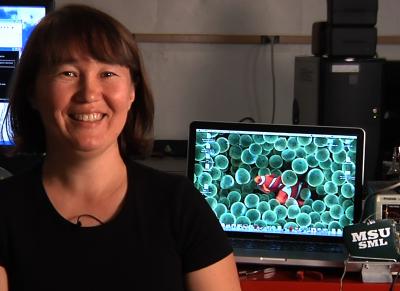 Elena Litchman, Michigan State University