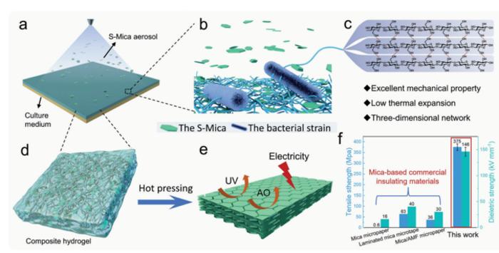 Nacre-Inspired Bacterial Cellulose/Mica Nanopaper withExcellent Mechanical and Electrical Insulating Properties by Biosynthesis