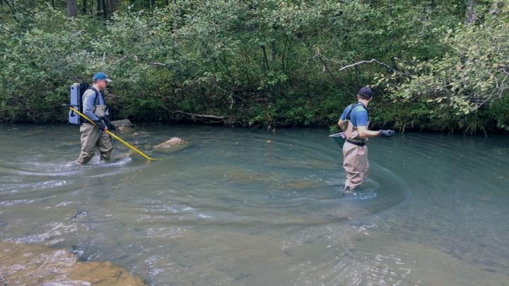 Collecting samples from creek