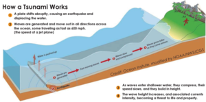 How a tsunami works