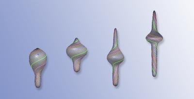 Simulation of Euglenid Movement