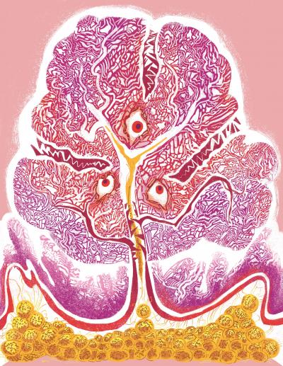 Rewriting Our Understanding of Gastric Tumors
