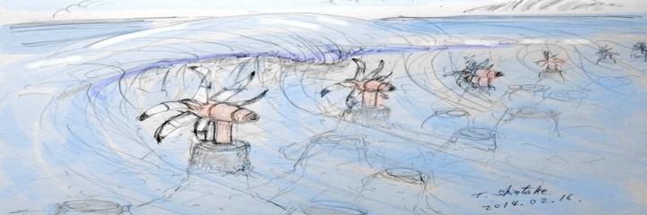 A Sustainable Future Powered by Sea