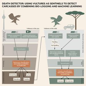 Graphical abstract about the AI development