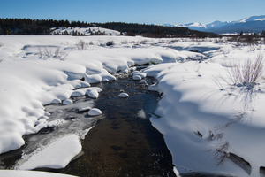 Snow in the Rocky Mountains