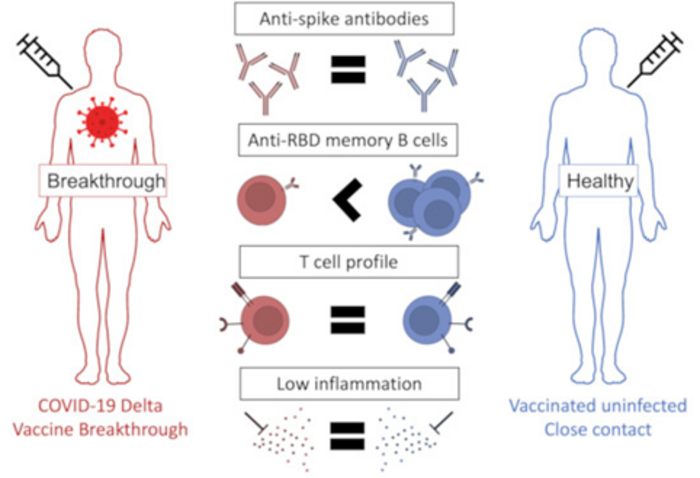 Study Shows That Higher Levels [IMAGE] | EurekAlert! Science News Releases