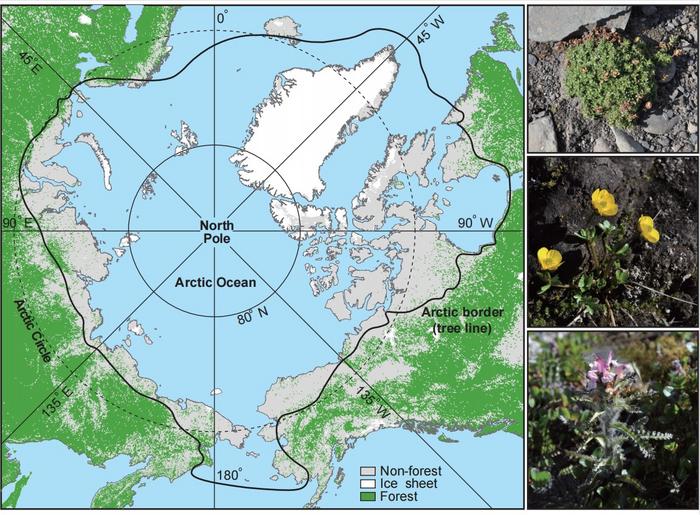 Geographic map of the Arctic and representative plants