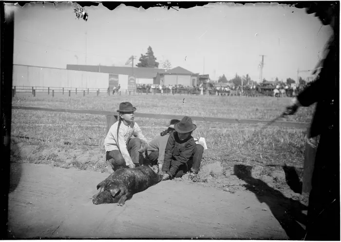 Chinese men holding down a pig in or near Los Angeles Chinatown