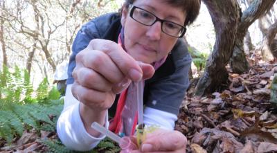 Debra Brock, Washington University in St. Louis 